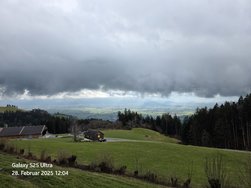 20250228_120420.jpg