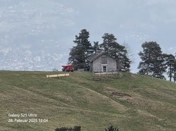 20250228_120437.jpg