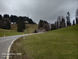 IMG_20250228_121113.jpg