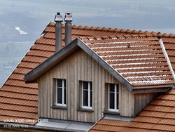 IMG_20250228_120848.jpg