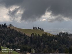 IMG_20250228_120325.jpg
