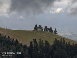 IMG_20250228_120330.jpg