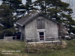IMG_20250228_120358.jpg