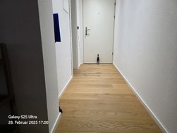 20250228_170058.jpg