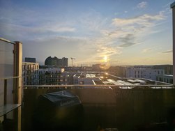 20250228_173303.jpg