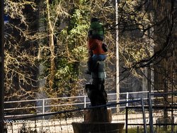 IMG_20250228_184345.jpg
