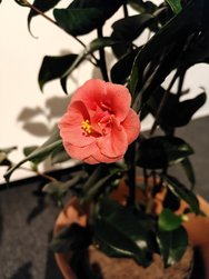 IMG20250117163718.jpg