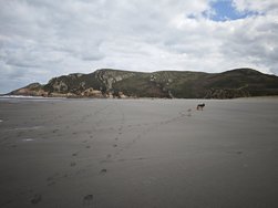 IMG_20250301_120442.jpg