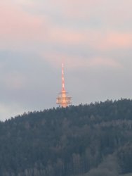 PXL_20250301_164011957.jpg