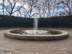 IMG_20250301_145746014_HDR.jpg