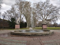 IMG_20250301_145832303_HDR.jpg