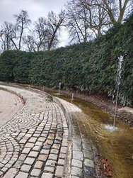 IMG_20250301_145856452_HDR.jpg
