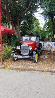 IMG_20250301_122321.jpg