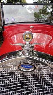 IMG_20250301_122417.jpg
