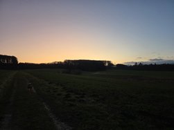 20250301_182441.jpg