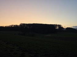 20250301_182444.jpg