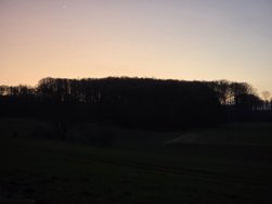 20250301_182447.jpg