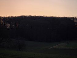 20250301_182451.jpg