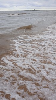 IMG_20250301_141157.jpg