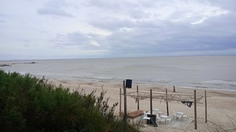 IMG_20250301_131509.jpg