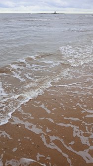 IMG_20250301_141200.jpg