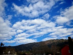 IMG_20250228_145002.jpg