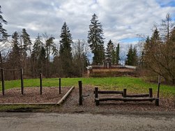 IMG_20250228_151322.jpg