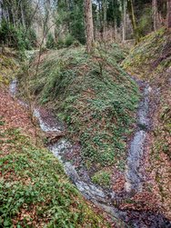 IMG_20250228_152510.jpg