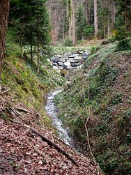 IMG_20250228_152638.jpg