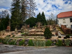 IMG_20250228_160017.jpg