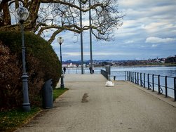 IMG_20250228_162710.jpg