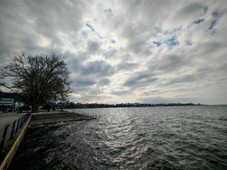 IMG_20250301_141526.jpg