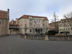 PXL_20250302_095127265.jpg