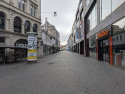 PXL_20250302_093907130.jpg