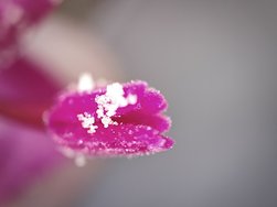 IMG20250302140101.jpg