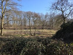 Bild4S25+.jpg