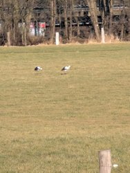 PXL_20250302_140742282.jpg