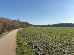 Bild5i16Pro.jpeg