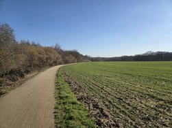 Bild5S25+.jpg