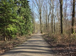 Bild6S25+.jpg