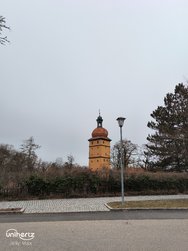 IMG_20250125_092735_370.jpg