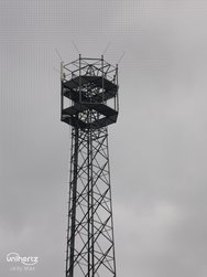 IMG_20250215_113541_990.jpg
