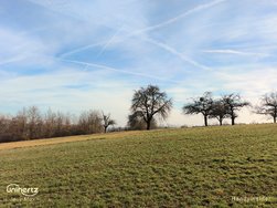 IMG_20250302_105118_078.jpg