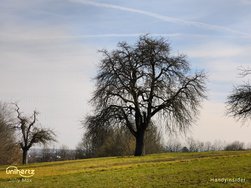 IMG_20250302_105121_967.jpg