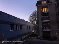 IMG_20250302_183516.jpg