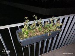 IMG_20250302_214306_436.jpg