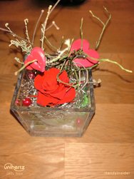 IMG_20250302_214437_692.jpg