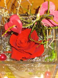 IMG_20250302_214447_183.jpg