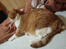 IMG_20250302_001207.jpg
