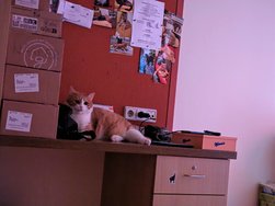 IMG_20250301_074559.jpg